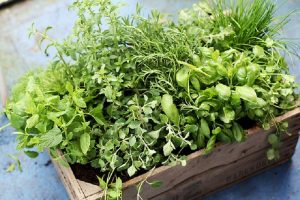 herb planter home DIY garden